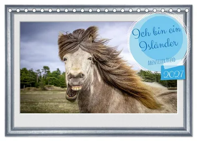 Produktbild von Ich bin ein Isländer (Tischkalender 2027 DIN A5 quer), CALVENDO Monatskalender