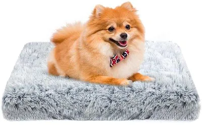 Image de Petit tapis pour chien, lavable, antidérapant, orthopédique, gris, 50