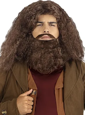 Produktbild von Harry Potter – Hagrid Perücke mit Bart