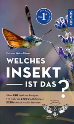 Obrázek produktu pro Welches Insekt ist das?