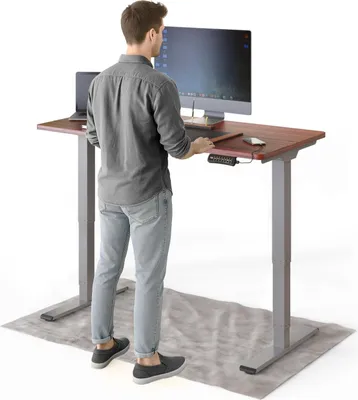 Produktbild von DESKSPACE PRO Plus Elektrisch höhenverstellbarer Schreibtisch, 120x60 cm Stehpult mit Memory-Funktion, Mahagoni Tischplatte, Graues Gestell