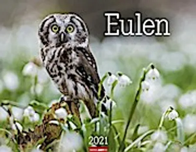 Produktbild von Harenberg und Weingarten Kalender 2021: Eulen – Die Jäger der Nacht in Bildern