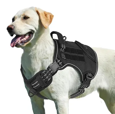 Immagine prodotto di Imbracatura anti-tiro per cani, con maniglia, antiscappamento, imbottita, taglia L