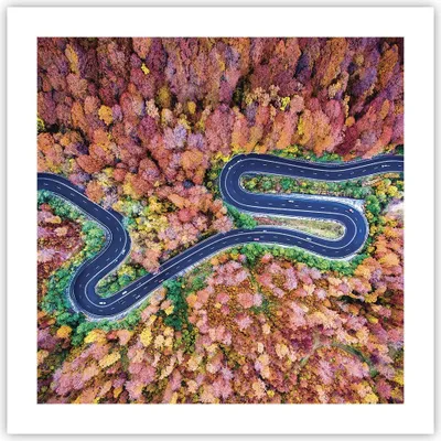 Produktbild von Poster - Poster ohne Rahmen - Kurvenreich Weg Wald - 50x50 cm - Wand Bild - Wanddeko - Wandbilder - Kunstposter - Wandposter - Bilder - Kunstdruck - Wanddekoration - Wandbild - P2XAC50x50-4291