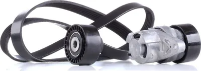 Produktbild von RIDEX 542R0077 Keilrippenriemensatz passend für PEUGEOT 206 Schrägheck (2A/C)