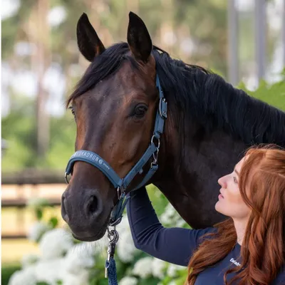 Produktbild von Eskadron Classic Sports 26 Sparkle Double Pin Halfter, Größe:Warmblut, Farbe:ocean