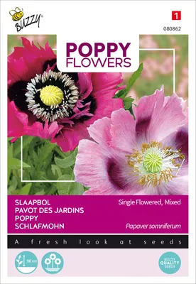 Produktbild von Buzzy Poppy Flowers Mohnblume Somniferum Mischung Samen - Ca. 1 gr | Buzzy_080862