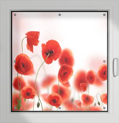 Produktbild von Wallario Lichtschutzbild, Dekorativer Sichtschutz Sonnenschutz 96 x 93 cm mit Motiv: Leuchtende Mohnblumen - Rote Mohnblumenblüten - Verdunklung ohne Bohren