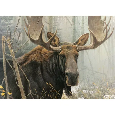 Immagine prodotto di COBBLE HILL Lotto di puzzle 500 pezzi