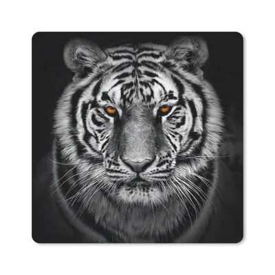 Produktbild von MuchoWow® Mauspad Mousepad Tiger - Orange - Schwarz - Weiß 20x20 cm - Mousepads - Maus Mat - Pad - Mausunterlage - Desk Mat - Bureauartikeln