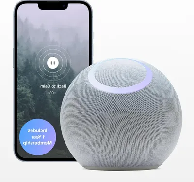 Productafbeelding van Slimme Tracker - Biofeedback Apparaat - Geestelijke Gezondheid - Meetbare Inzichten - 17 cm - Grijs