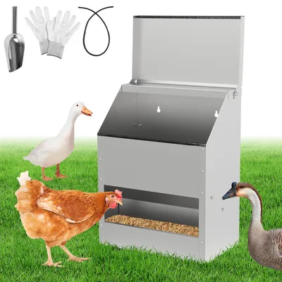 Image de Distributeur de nourriture pour volailles ISOISL, capacité de 15 kg, en acier galvanisé. Comprend un distributeur de nourriture pour poulets avec couvercle, une pelle à nourriture, des gants et 1 mètre de protection de bord