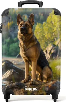 Produktbild von NoBoringSuitcases.com® Koffer Handgepäck Trolley Rollkoffer Kleine Reisekoffer mit 4 Rollen - Schäferhund auf den Felsen beobachten - Cabin Size < 55x40x23 cm & 55x40x20 cm - Fotokoffer - Kabinenkoffer - BoardgepäckHandgepäck Koffer 55x35x20 cm, 36L,