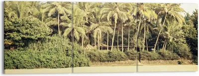 Produktbild von Bild auf Leinwand - Leinwandbild - 3 Teile - Natur Strand Palmen - 150x50cm - Wand Bild - Wanddeko - Wandbilder - Leinwanddruck - Bilder - Wanddekoration - Leinwand bilder - Wandbild - CA150x50-4915