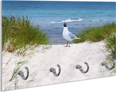 Produktbild von Wallario Schlüsselbrett aus Glas, Motiv: Möwe auf der Düne, 30 x 20 cm mit 4 Haken
