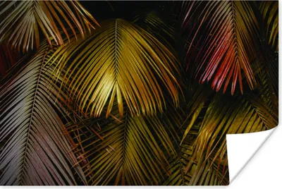 Produktbild von MuchoWow® Poster Dschungel - Blätter - Gold 120x80 cm - Bilder
