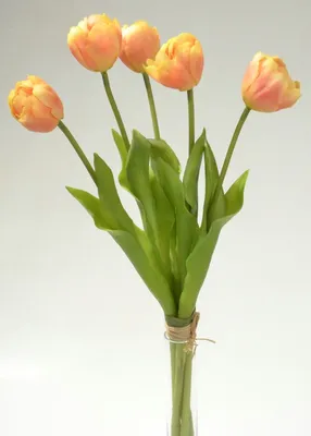 Produktbild von Tulpenbund Real Touch 43cm apricot Paeonientulpen künstliche Blumen Tulpen 5St.