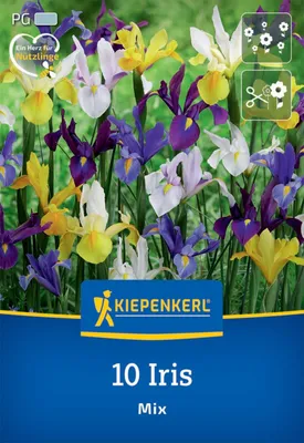 Produktbild von Kiepenkerl Holländische Schwertlilien Mischung Iris x hollandica 10 Zwiebeln