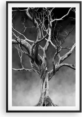Produktbild von Gerahmtes Poster - Schwarzer Rahmen - Schwarzweiß Äste Rauch - 61x91,5 cm - Wand Bild - Wanddeko - Wandbilder - Kunstposter - Wandposter - Bilderrahmen - Bilder - Kunstdruck - Wandbild P2BPA61x91-4346