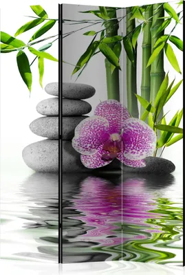 Produktbild von Neuheit! Dekorativer Paravent Raumteiler Trennwand Foto-Paravent Spanische Wand XXL BAMBUS STEINE ORCHIDEE BLUME 135x172 cm p-B-0052-z-b