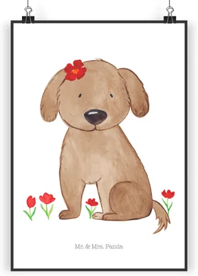 Produktbild von Mr. & Mrs. Panda Bild Hund Dame DIN A3 - Weiß - Geschenk, Sprüche, Frauchen, Kunstdruck, Liebe, wanddeko, Hunde, Liebenswert, Niedlich, Wandbild, Posterdruck, drucke