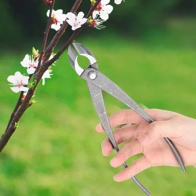 Obrázok produktu pre Nástroj na bonsaje – 8-palcové konkávne záhradné nožnice