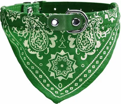 Productafbeelding van Hondenhalsband met sjaal, groen, maat M
