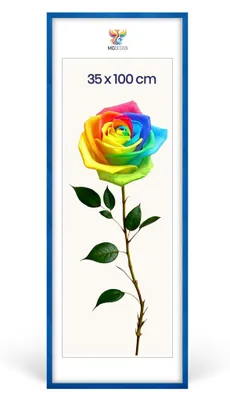 Obrázok produktu pre MG Design, rám na obrázky, modrá farba, 35x100 cm - rám na plagáty z masívneho dreva s akrylovým sklom, zosilnený systém na zavesenie, možnosť umiestnenia na výšku alebo na šírku
