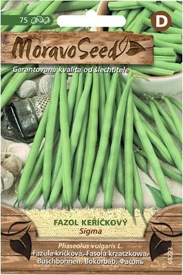 Obrázek produktu pro Nohel Garden Fazol keříčkový, zelený 68223,