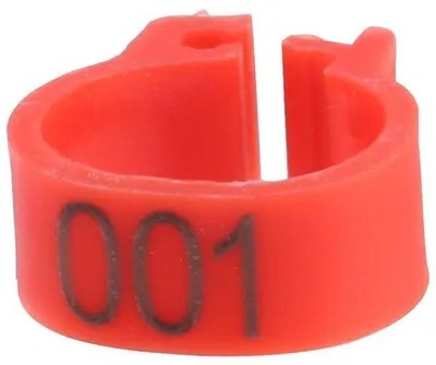 Produktbild von 100 Duivenringen 8 mm - Pluimvee Duivenbanden