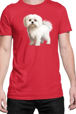 Immagine prodotto di Maglietta da uomo Dogs Breeds Maltese Dog Breed 005, Man S , Rouge