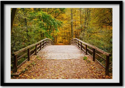 Produktbild von Bild - Bilder - Bilderrahmen - 70 cm x 50 cm - MDF-Rahmen, Wandkunst Brücke im Herbstwald