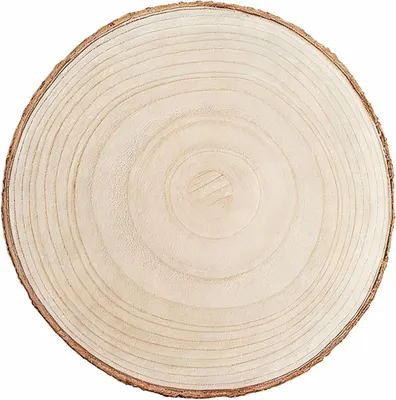 Productafbeelding van Grote boomschijf - Houten schijven - Doe-het-zelf knutselen - Natuurlijk gedroogd - 30-34 cm - Houtkleur