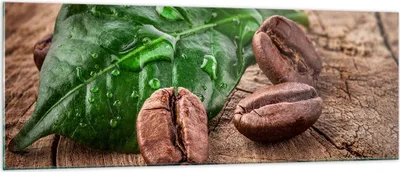 Produktbild von Bilder auf glas - Aroma Kaffee Pflanze Samen - 140x50cm - Glasbilder - Wandbilder - Kunstdruck - zum Aufhängen bereit - Wanddekoration aus Glas - Glas Bilder - Wandbild auf Glas - GAB140x50-2548