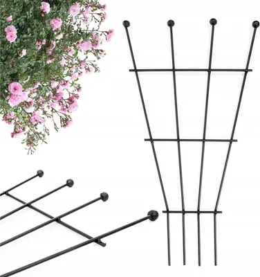 Image de Jardin Support de plantes en métal de haute qualité pour plantes grimpantes et hortensias 60cm