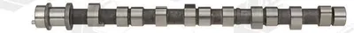 Produktbild von AE CAM390 Nockenwelle für HYUNDAI H-1 Travel (TQ) für MITSUBISHI PAJERO II (V3W, V2W, V4W)