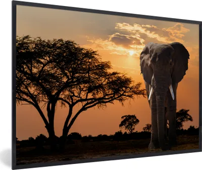Produktbild von MuchoWow® MuchoWow® Gerahmtes Poster Elefant - Baum - Afrika 30x20 cm - Poster mit zchwarzem Bilderrahmen - Kunstdruck - Bild-Poster