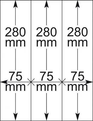 Produktbild von Lindner 802121P T-Blanko-Blätter - 10er-Packung