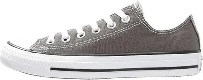 Produktbild von Converse Chuck Tailor All Star 1J794C (41.5/charcoal)