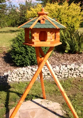 Image de Grande volière avec support 58x38 cm vert type 5