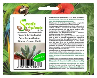 Produktbild von 10x Faucaria tigrina Kaktus Sukkulenten Garten Pflanze - Samen B1484