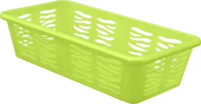 Image de Branq Basket Zebra Z1 - vert