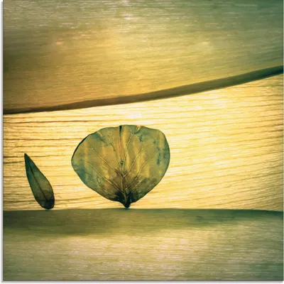 Produktbild von ARTland Glasbild Frühling? Größe: 30x30 cm