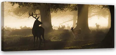 Image de Toile « Cerfs dans le brouillard » 90 x 30 cm Feeby gris, prête à accrocher