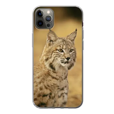 Produktbild von MuchoWow® Handyhülle Schutzhülle Hülle für iPhone 13 Pro Max Luchs - Braun - Gras Silikon Softcase Handy Hülle - Mobiltelefon