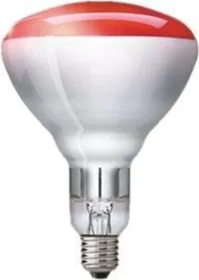 Produktbild von Philips 60800124265, 150 W