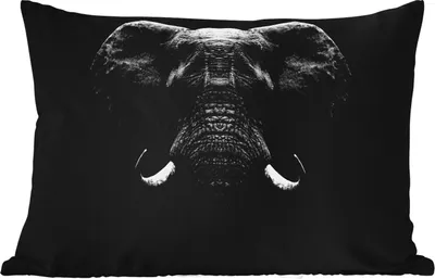 Produktbild von MuchoWow® Outdoor Kissen - Tiere - Elefant - Porträt - Schwarz - Weiß - 50x30 cm - Wetterfest - Lounge Kissen - Sofa kissen - Wohnzimmer Dekoration