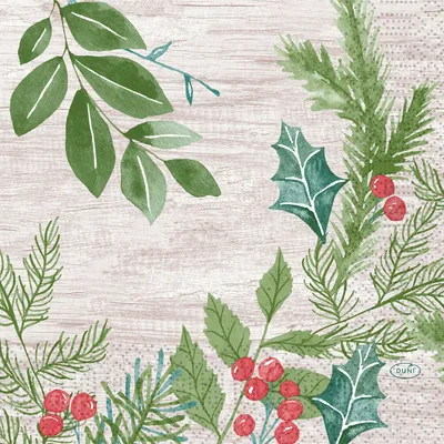 Productafbeelding van Duni Servetten, Wintergroen, 33x33 cm, 3-laags, 250 stuks