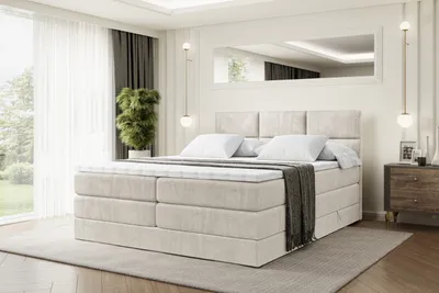 A bedroom scene with a large bed as the focal point, decorated with pillows and a throw blanket. A large mirror hangs on the wall above the bed, reflecting the room. A plant and a bedside table with decorative items are also visible.