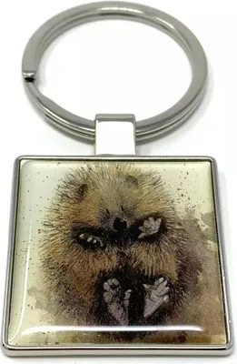 Image de Porte-clés K18 Hedgehog au dos
